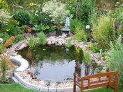 Товары для пруда