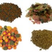 Корма для рыбок