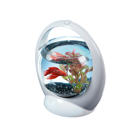 Tetra Betta Ring белый аквариум-шар с освещением LED 1,8 л