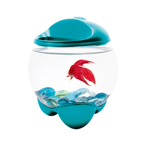 Tetra Betta Bubble бирюзовый аквариум-шар для петушков с освещением 1,8 л