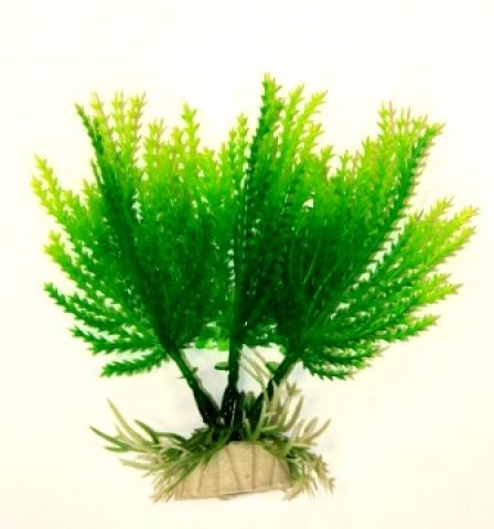 Водный мох зеленый, 10 см (Арт. AP026-4)