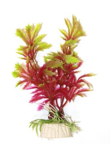 Прозерпина красно-салатовая, 10 см (Арт. AP042F1-4)