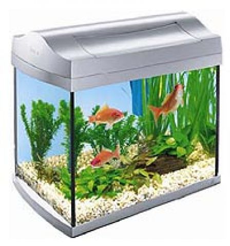 Фильтры для маленьких аквариумов