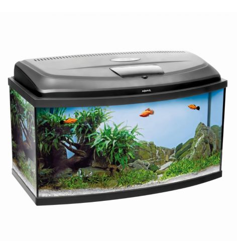 Купить панорамный аквариум с тумбой недорого «Аква-Нара»